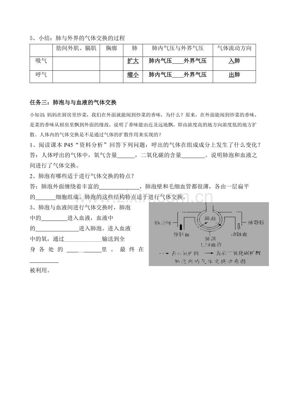 4.3.2发生在肺内的气体交换导学案.doc_第2页