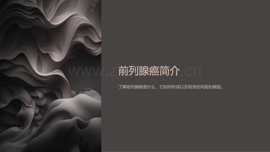 《前列腺癌手术课件》.ppt_第2页