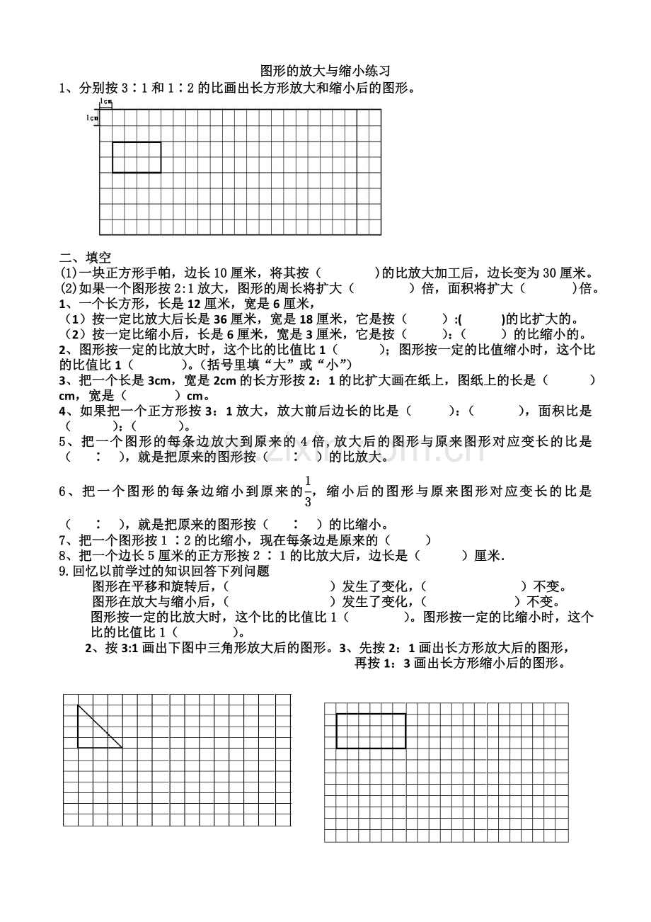 图形的放大与缩小练习题(苏教版).doc_第1页