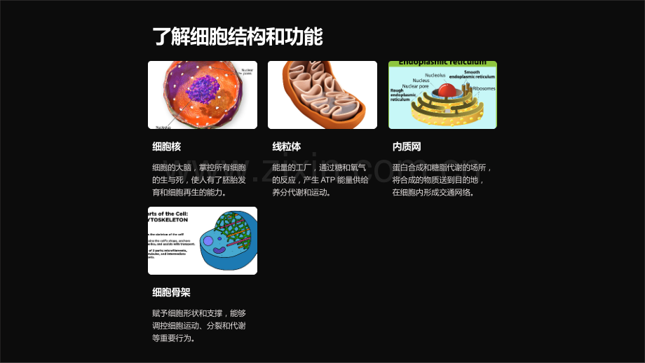 《人体解剖与生理学课件：从细胞到系统》.ppt_第2页