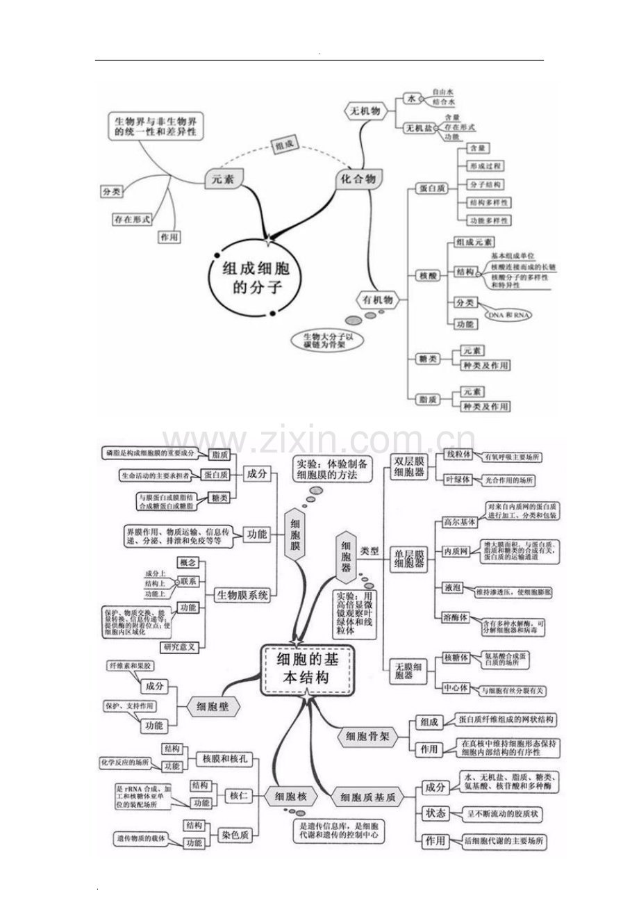 高中生物20张思维导图.doc_第1页