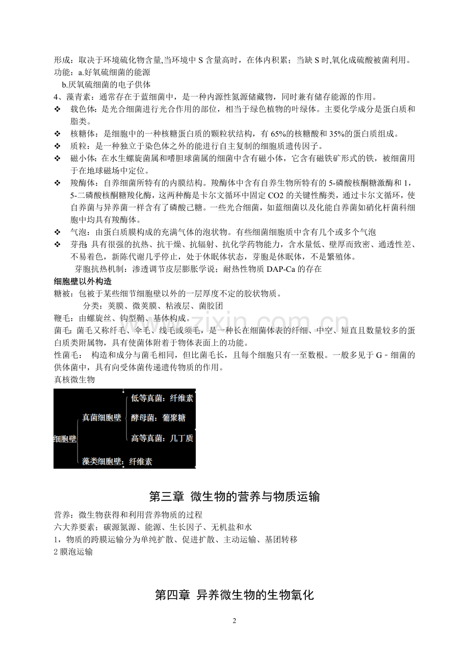 河南大学微生物生理学总结.doc_第2页