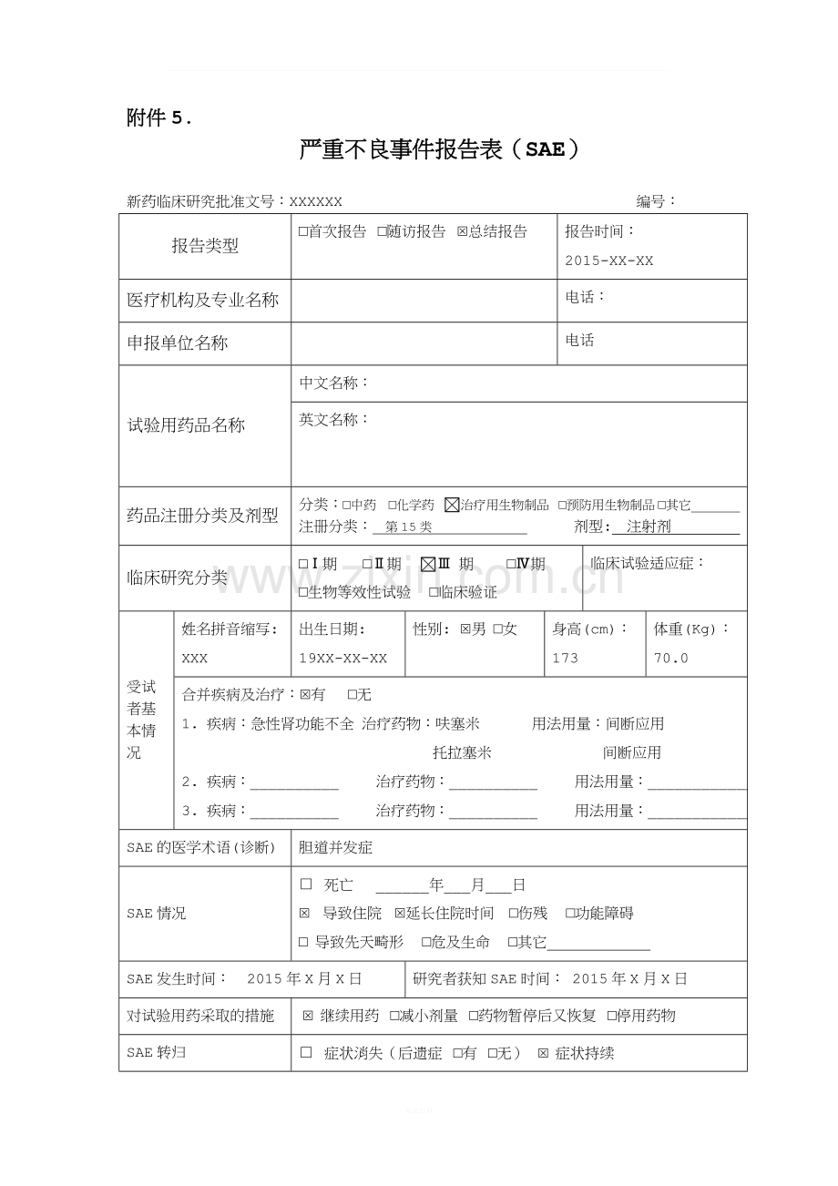 SAE-报告模板.doc_第1页