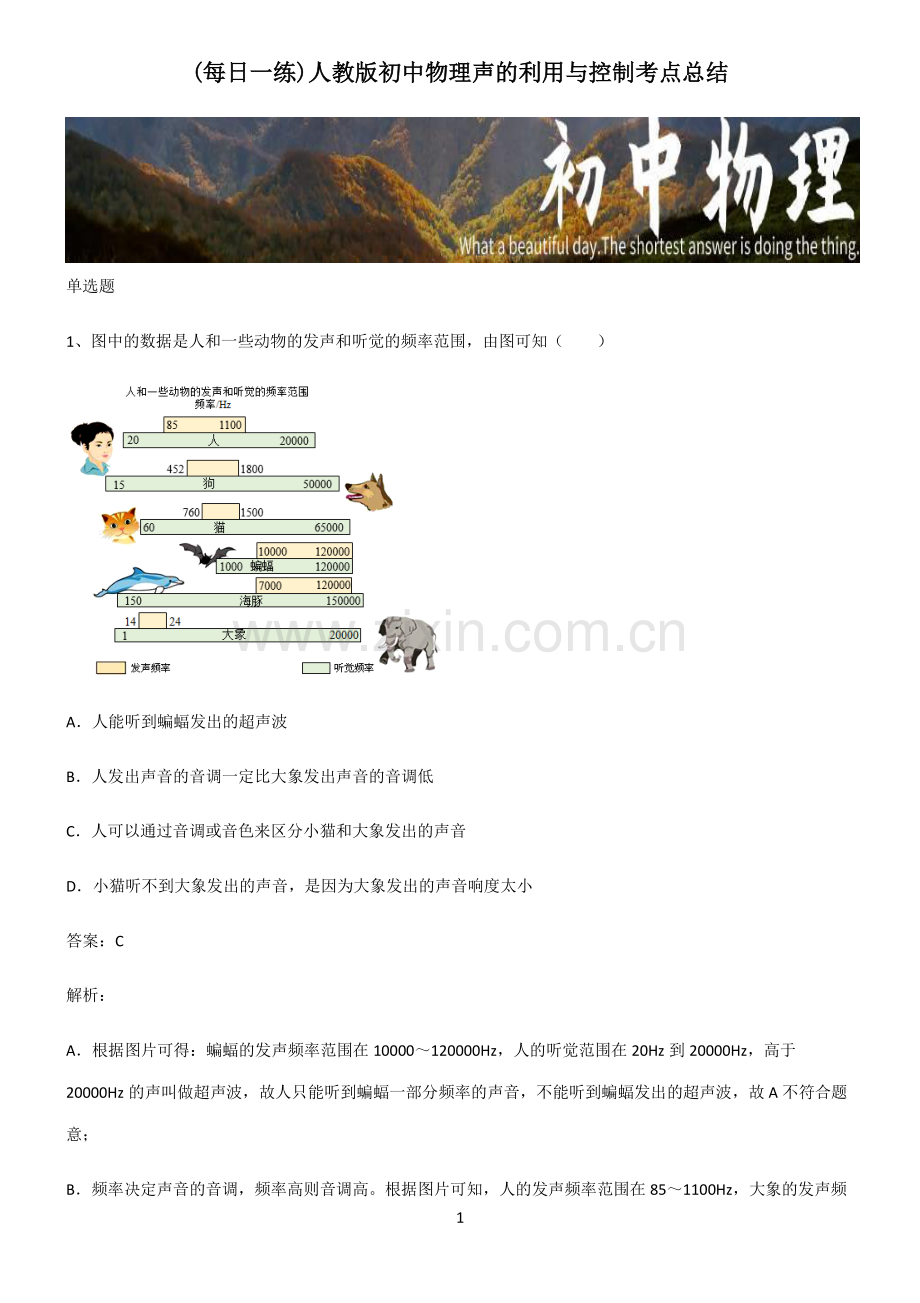 人教版初中物理声的利用与控制考点总结.pdf_第1页