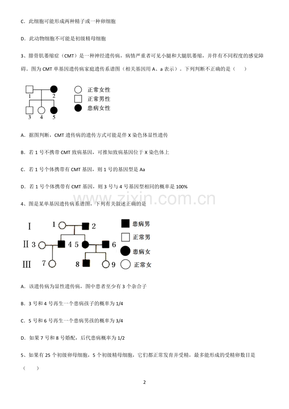 (文末附答案)人教版2022年高中生物基因和染色体的关系解题技巧总结.pdf_第2页