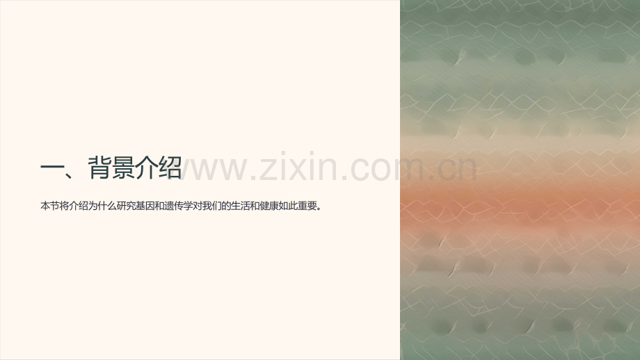 《基病例的初中生物课件设计与实现》.ppt_第2页
