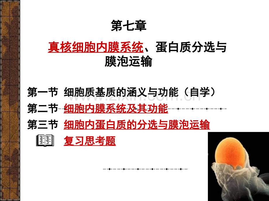 第7章真核细胞内膜系统、蛋白质分选与膜泡运输20110411.ppt_第1页