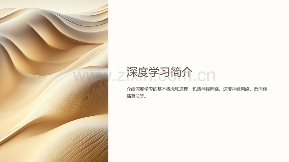 “深度学习医疗影像处理课件——基于Python实现”.ppt_第2页
