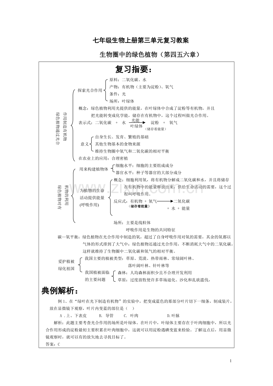 七年级生物上册第三单元四五六章.pdf_第1页