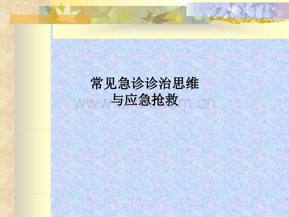 常见急诊诊治思维与应急抢救.ppt_第1页