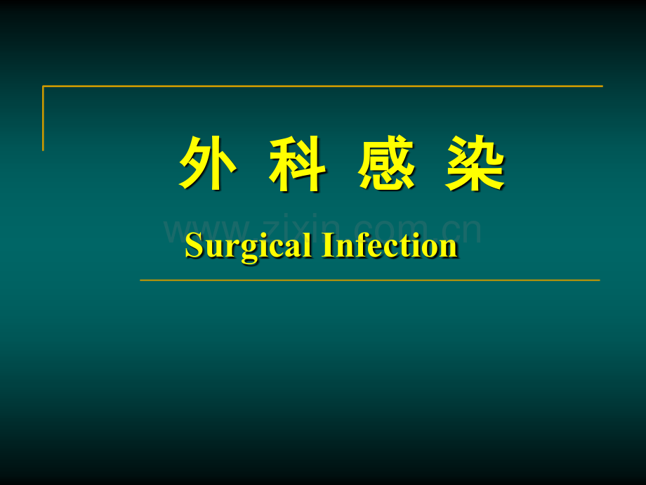 外科感染新.ppt_第2页