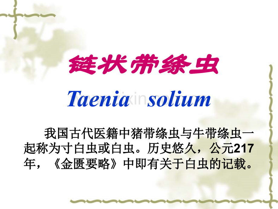 猪肉绦虫.ppt_第2页