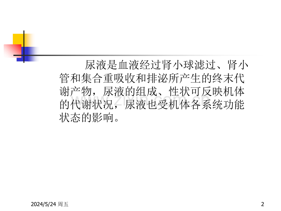 诊断学尿液检验.ppt_第2页