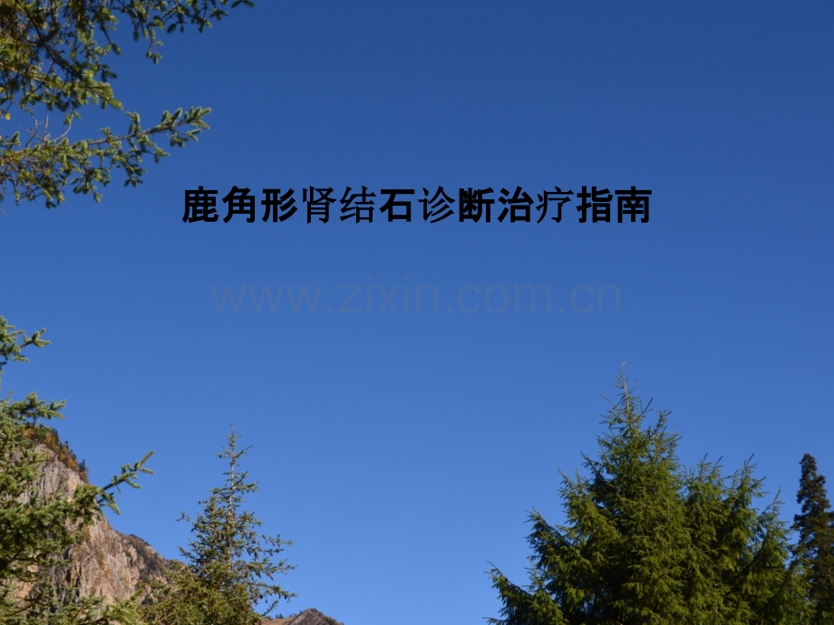 鹿角形肾结石诊断治疗指南.pptx_第1页