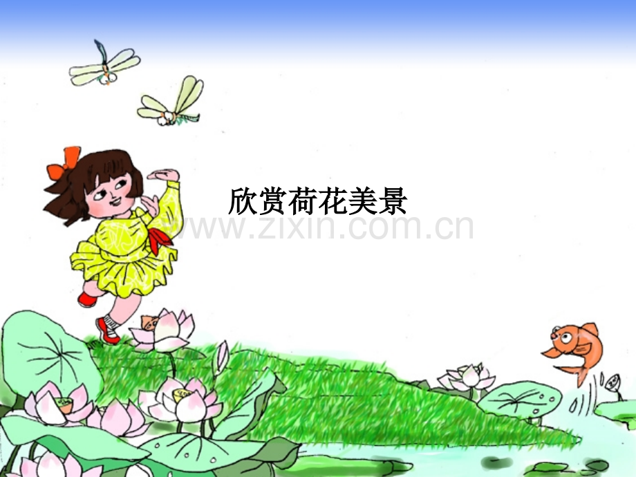 欣赏荷花美景PPT课件.ppt_第1页