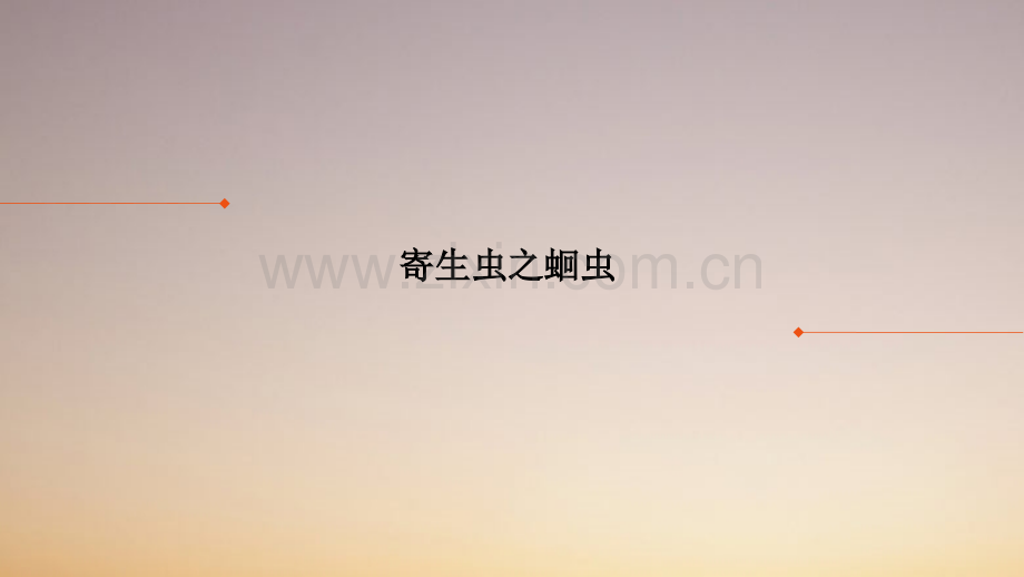 寄生虫之蛔虫.ppt_第1页