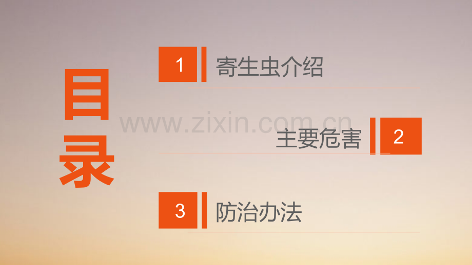 寄生虫之蛔虫.ppt_第2页