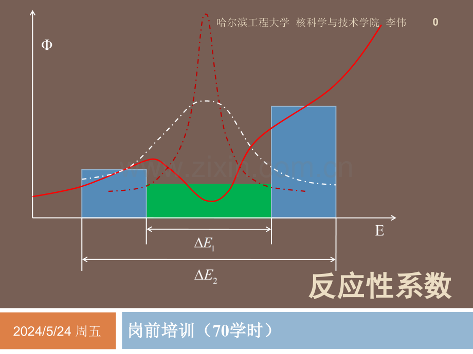 chapter09反应性系数.ppt_第1页