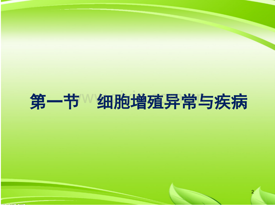 细胞增殖和凋亡异常与疾病.ppt_第2页
