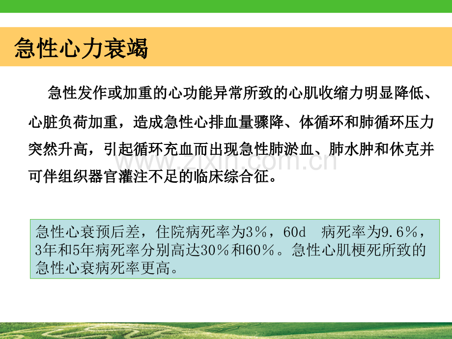 冠心病合并心衰pci.ppt_第2页
