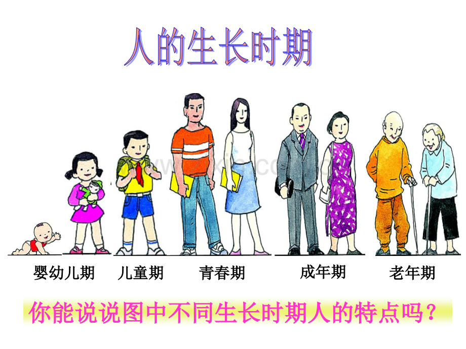 走向成熟t.ppt_第2页