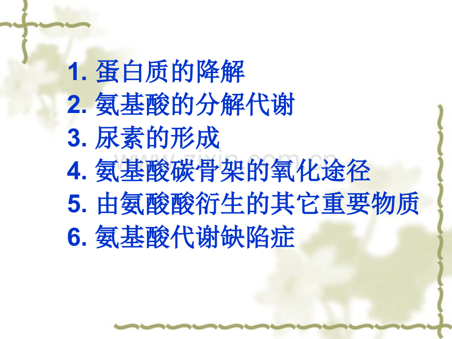 蛋白质的降解和氨基酸的分解代谢.ppt_第2页