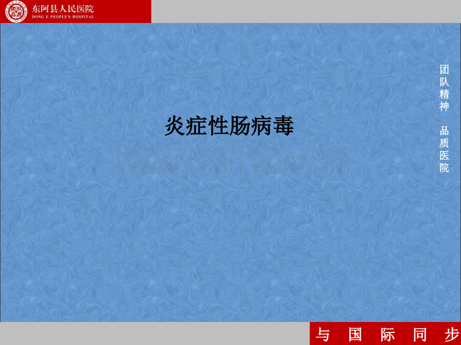炎症性肠病毒.ppt_第1页
