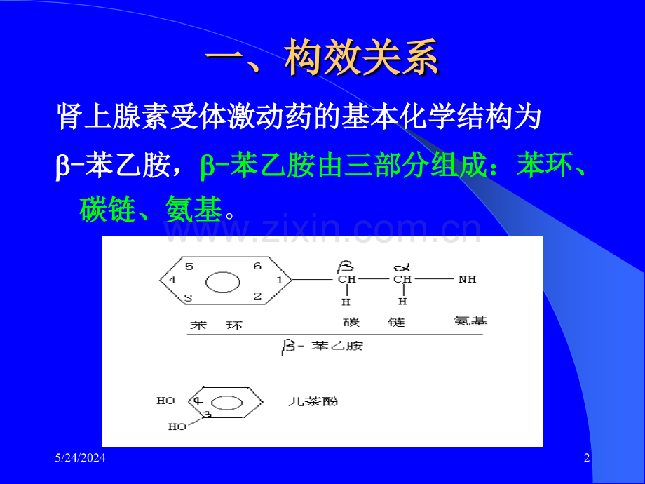 第10章--肾上腺素受体激动药1幻灯片PPT课件.ppt_第2页