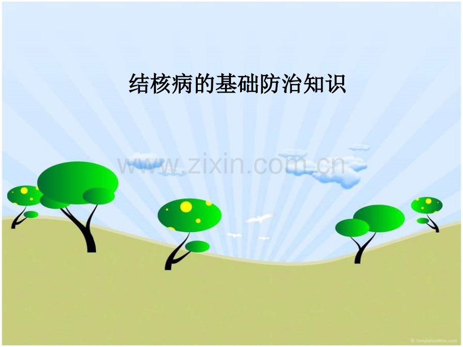 结核病的基础防治知识.ppt_第1页