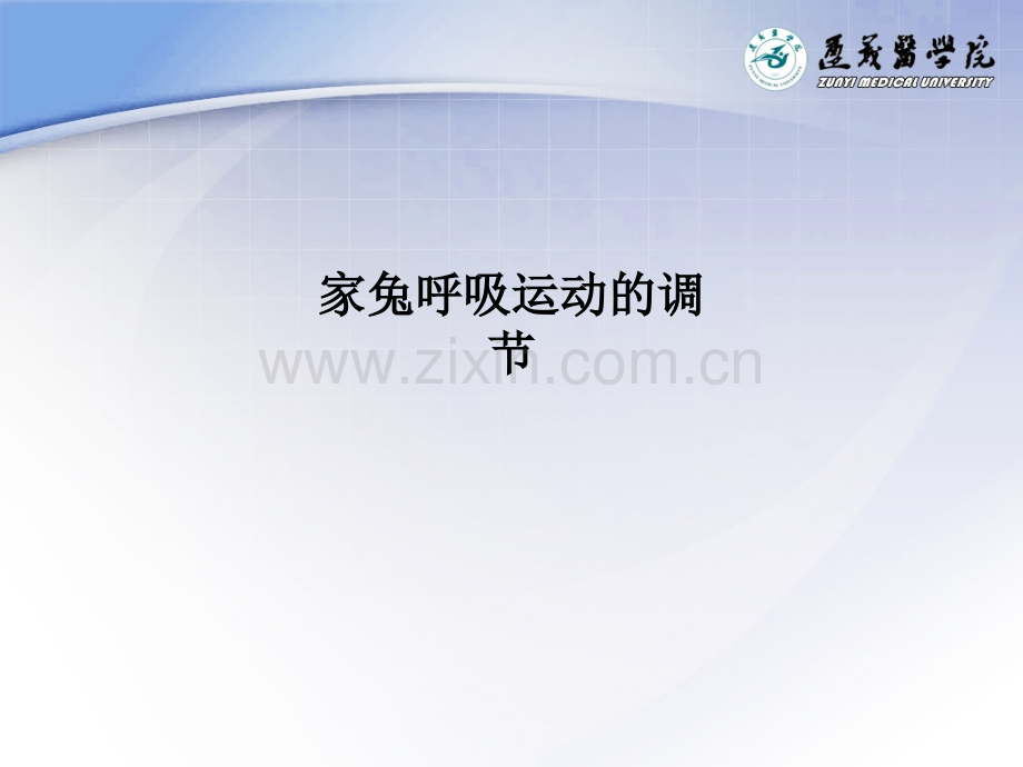 家兔呼吸运动的调节.ppt_第1页