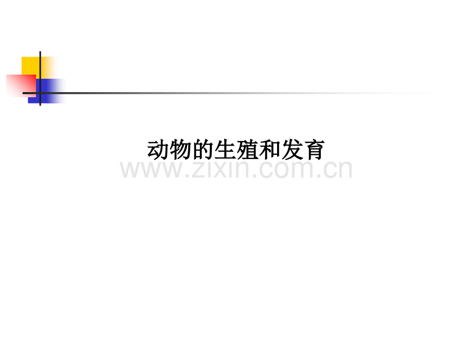 动物的生殖和发育.ppt_第1页