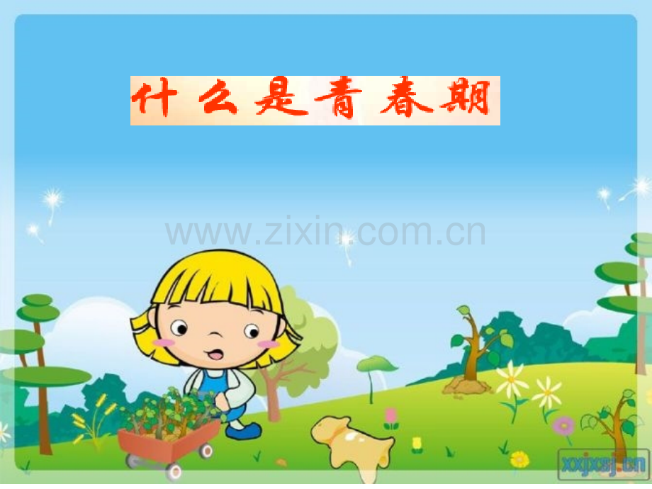 生理卫生知识.ppt_第2页