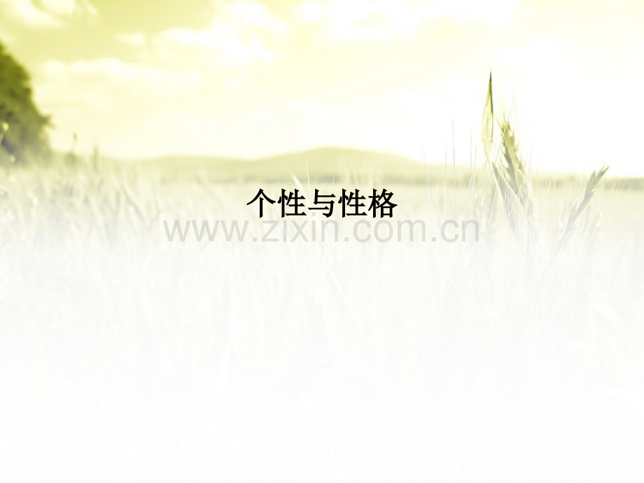 个性与性格.ppt_第1页