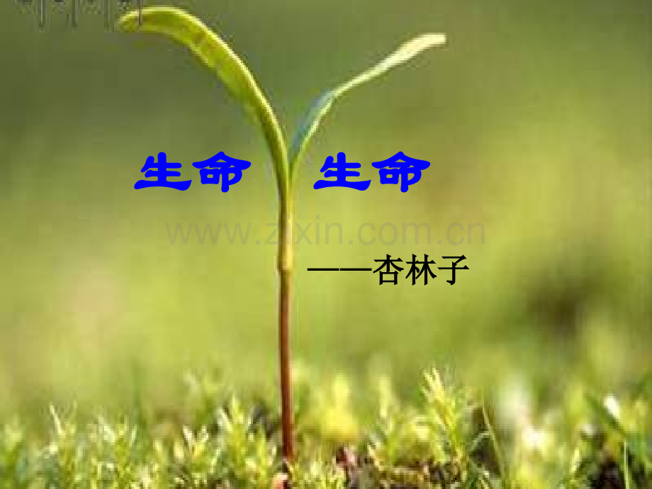 生命生命.ppt_第2页