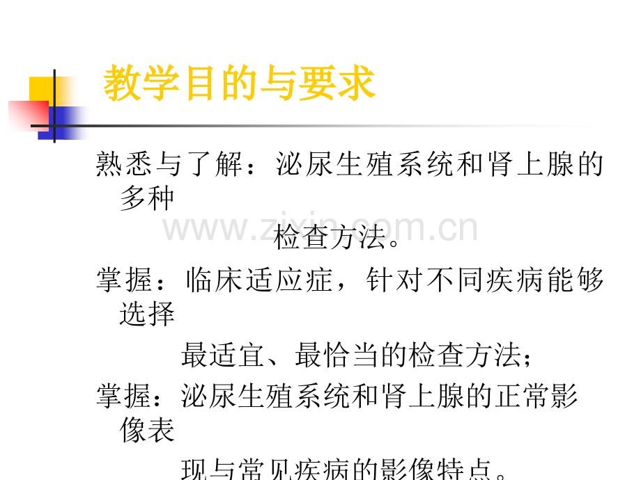 泌尿系统与肾上腺PPT课件.ppt_第2页