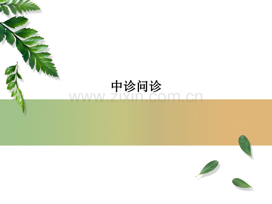 中诊问诊.ppt_第1页