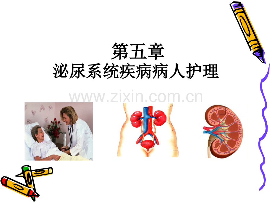 肾病综合症护理PPT课件.ppt_第1页