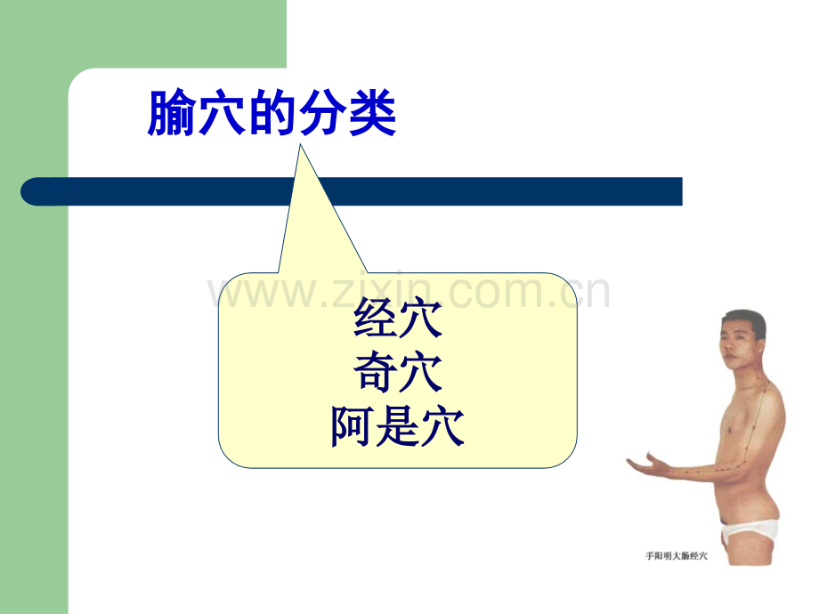 临床常用腧穴.ppt_第2页