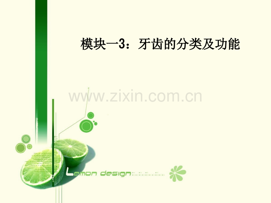 模块一3：牙齿的分类及功能.ppt_第1页