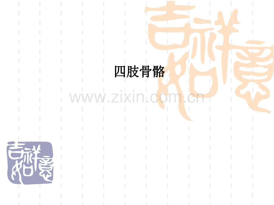 四肢骨骼.ppt_第1页
