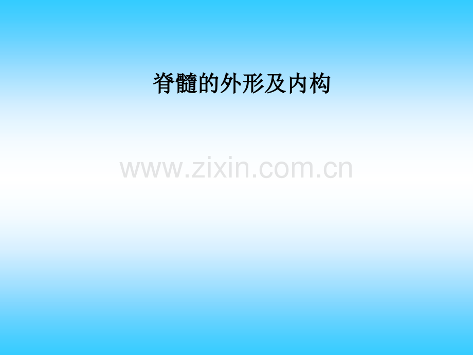 脊髓的外形及内构.ppt_第1页