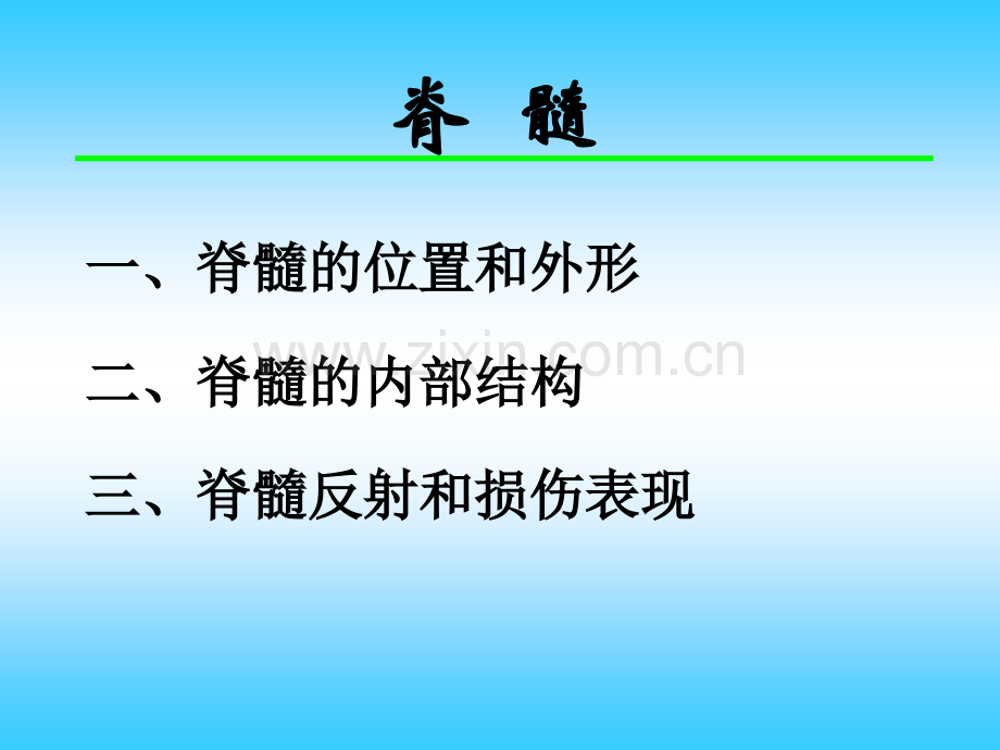 脊髓的外形及内构.ppt_第2页