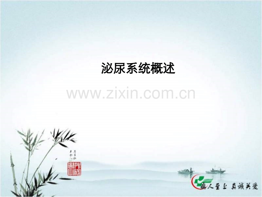 泌尿系统概述PPT课件.ppt_第1页