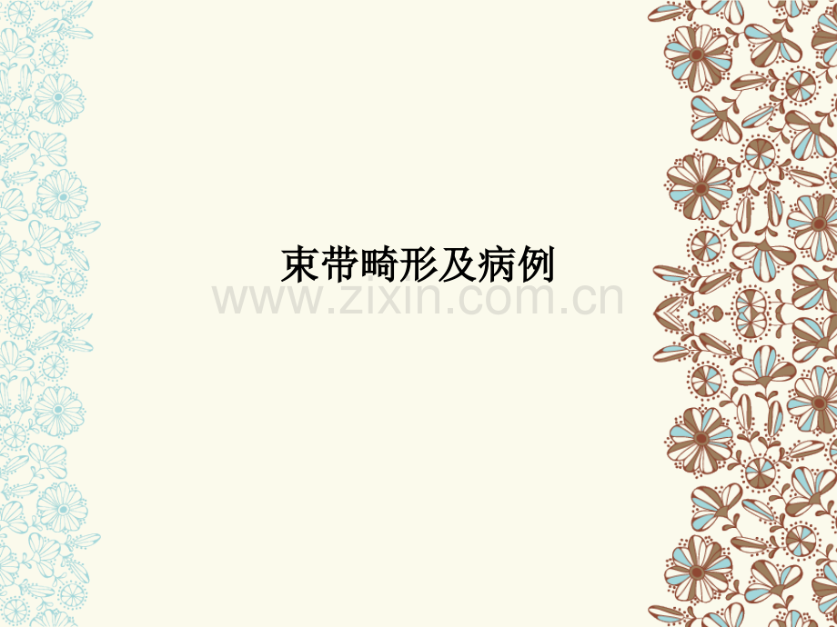束带畸形及病例.ppt_第1页