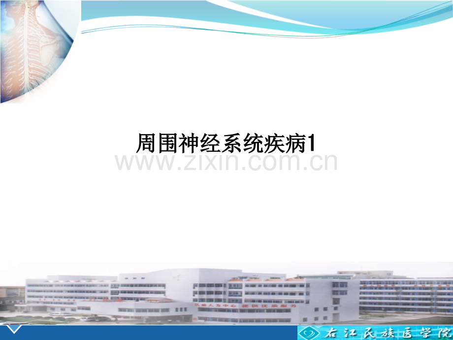 周围神经系统疾病1.ppt_第1页
