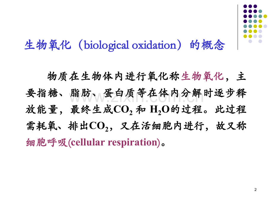 生物氧化课件.ppt_第2页