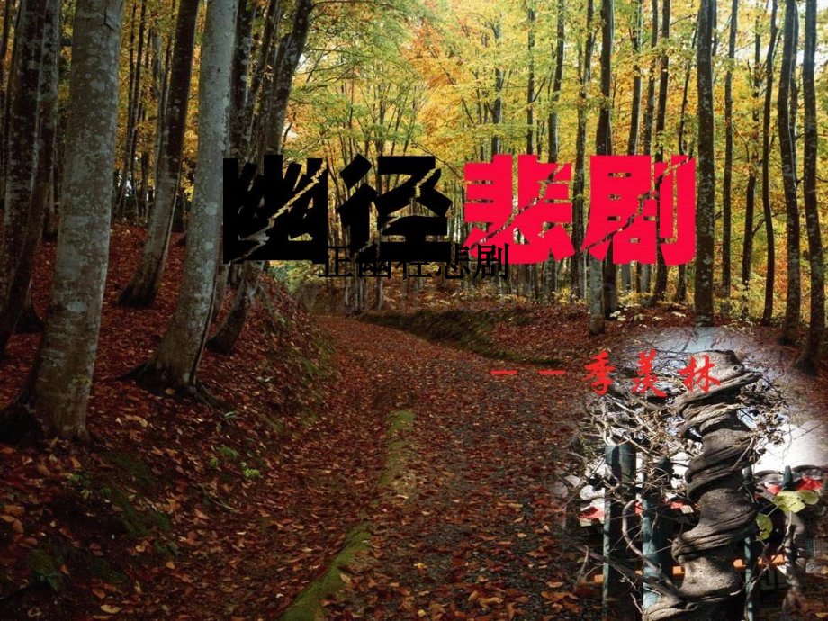 正幽径悲剧-PPT课件.ppt_第1页