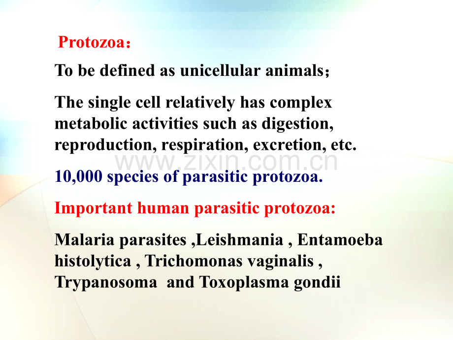 溶组织内阿米巴课件.ppt_第2页