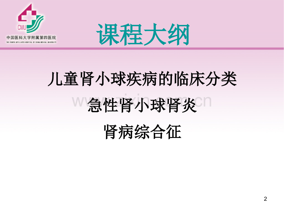 小儿泌尿-肾炎-药大20141209.ppt_第2页