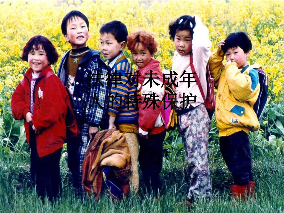法律对未成年人的特殊保护.ppt_第1页